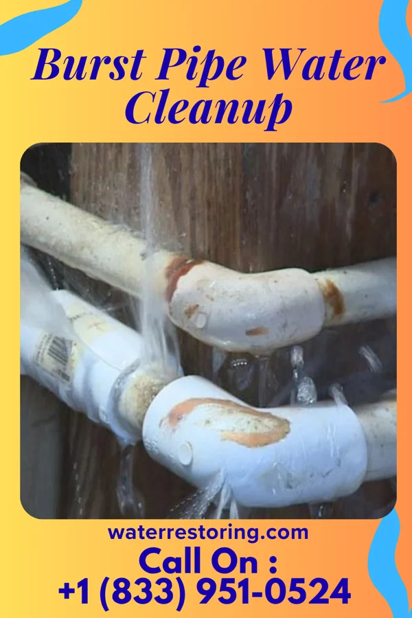 Burst Pipe Water Cleanup in Lehighton, PA