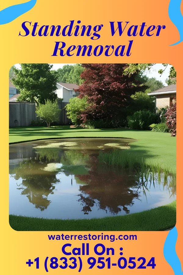 Standing Water Removal in Lehighton, PA